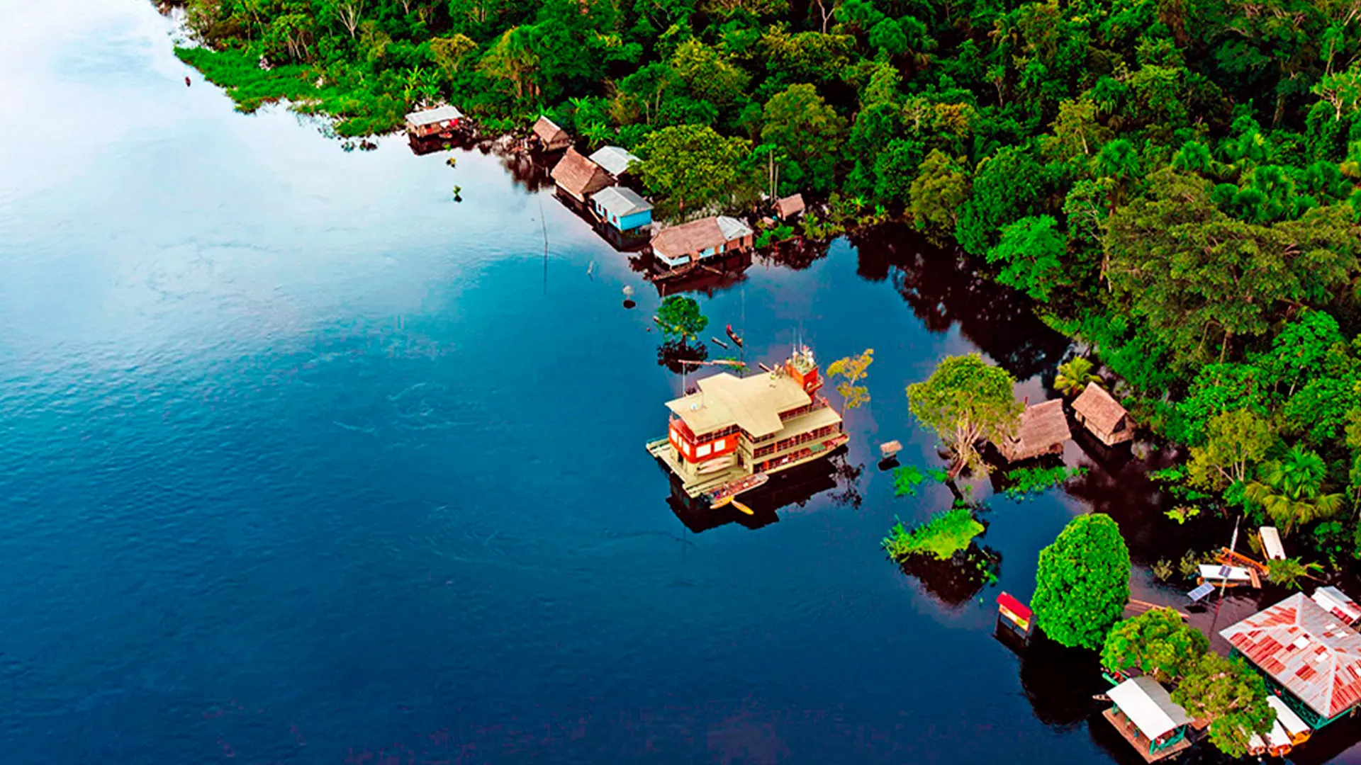 Iquitos Jungle