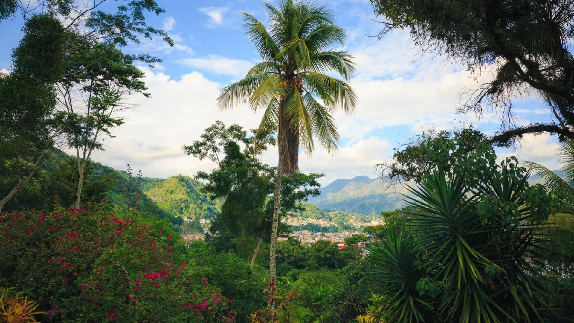 FUNDO SAN JOSE - CHAMCHAMAYO - 7